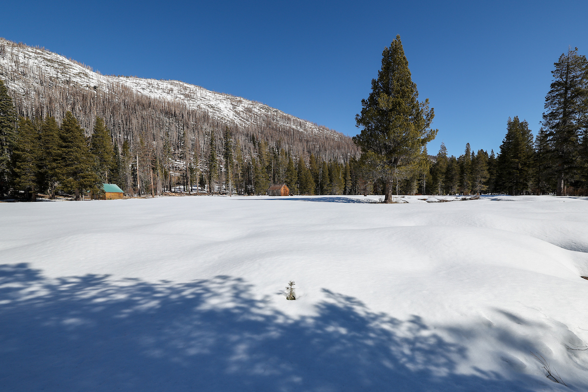 Snow blankets the meadow where the California Department of Water Resources conducts the third media snow survey of the 2025 season at Phillips Station in the Sierra Nevada, approximately 90 miles east of Sacramento off Highway 50 in El Dorado County. Photo: Xavier Mascareñas, California Department of Water Resources California snowpack