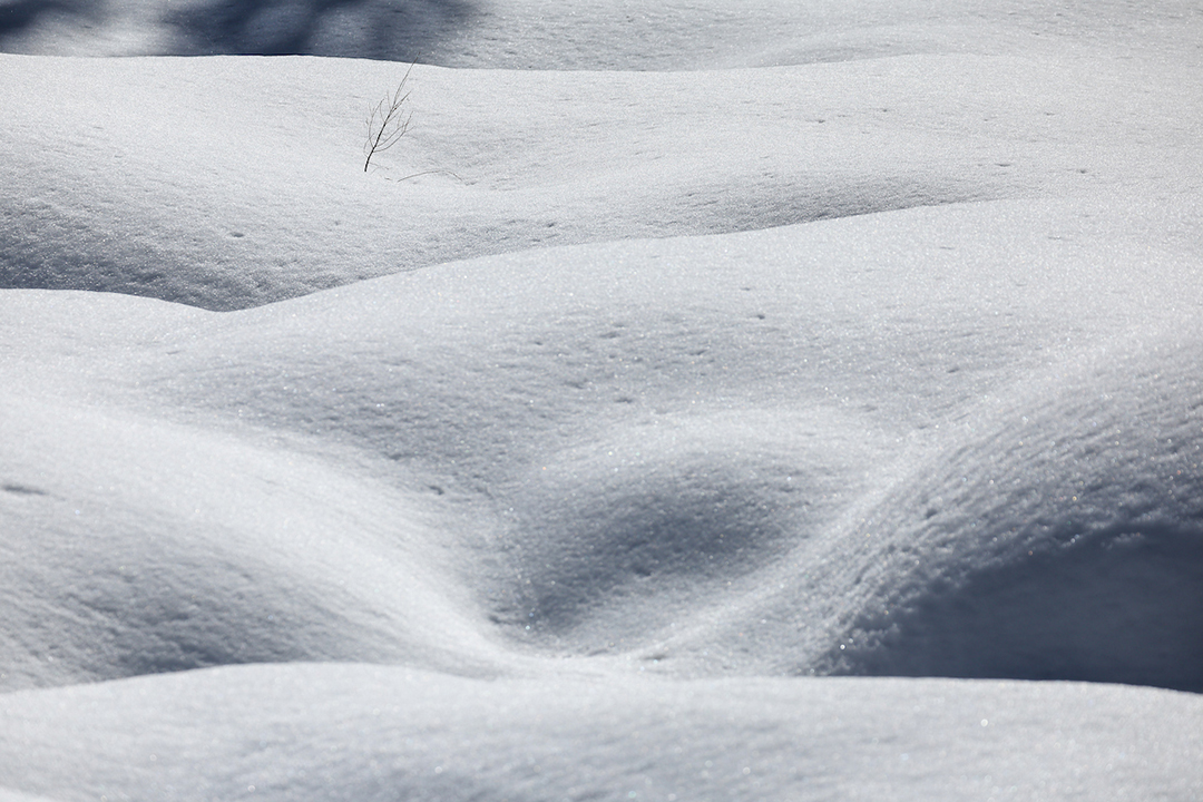 Snow blankets the meadow where the California Department of Water Resources conducts the third media snow survey of the 2025 season at Phillips Station in the Sierra Nevada. The snow survey is held approximately 90 miles east of Sacramento off Highway 50 in El Dorado County. Photo: Xavier Mascareñas, California Department of Water Resources California snowpack